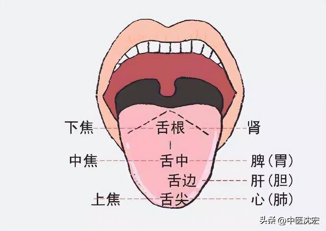 肝郁气滞的症状，肝郁气滞的症状舌头图（肝郁、气滞、痰凝、瘀血是乳腺增生的元凶）