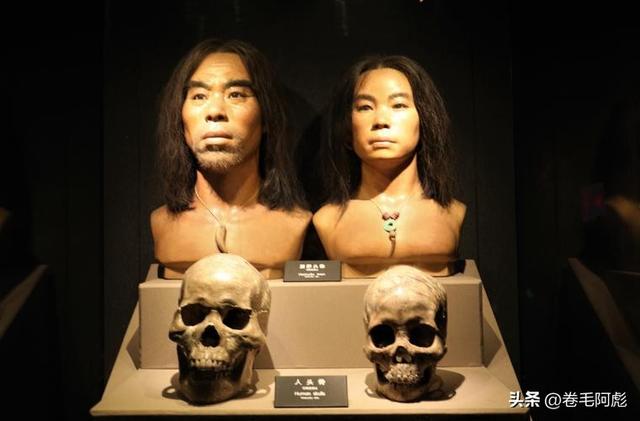 猫咪进化成猫颈鹿，雄性动物有多拼