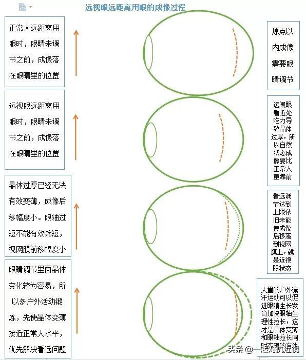 眼睛的成像原理示意图，眼睛所有成像过程一览