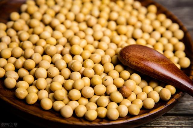 家纺爆款大豆被，火遍家纺圈的大豆被凭什么更适合南方