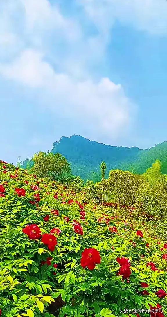 世外桃源人间仙境图片，山水仙境世外桃源（精美手机壁纸）