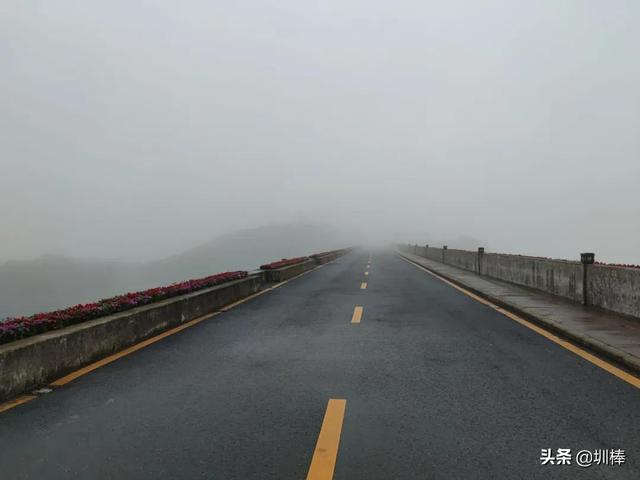 周日打卡鹏城第一峰，从蝴蝶谷-好汉坡步道登顶