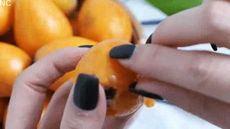 同样是大五星枇杷，四川米易枇杷几月成熟