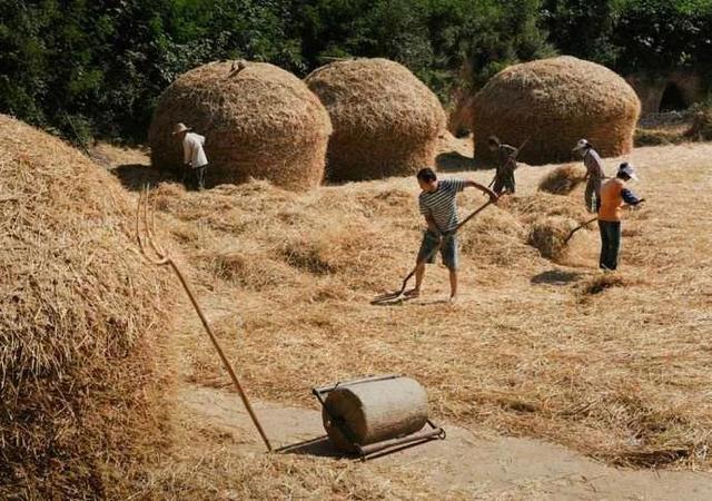 老仙翁民间传说，中国民间诸神传说《南极仙翁》