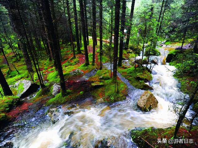 张掖旅游景点排名，张掖最近有哪些旅游胜地（张掖自驾游都有哪些好玩的地方）