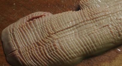 爆炒腰花正宗做法湘菜，爆炒腰花特色传统名菜