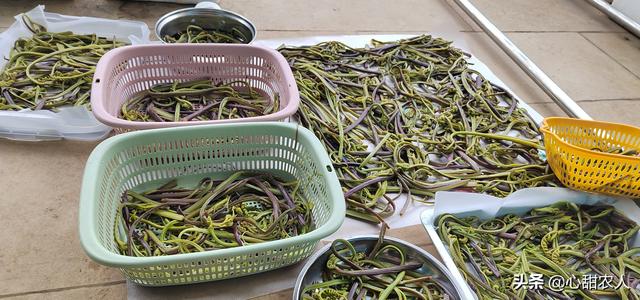 袋装蕨菜炒腊肉做法，蕨菜-晒干炒腊肉最好吃