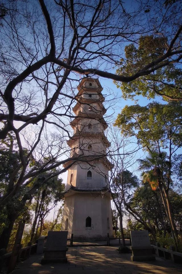 旅游遛娃必备，温州这几个宝藏遛娃圣地