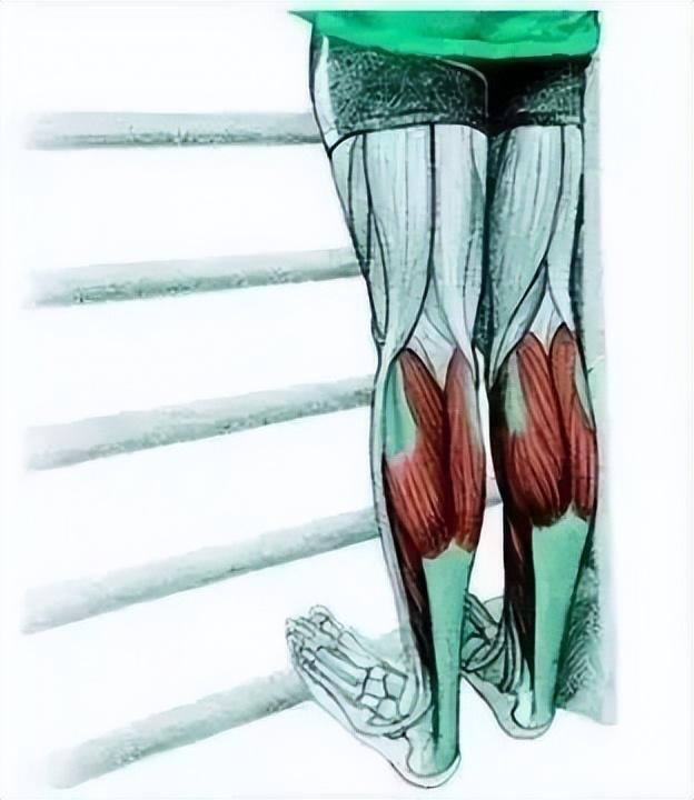 10分钟懒人拉伸训练动作，这6组33个拉伸动作绝了