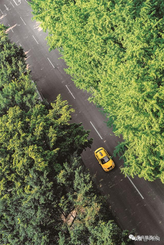 重庆山城旅游攻略大全，必看的重庆旅游攻略