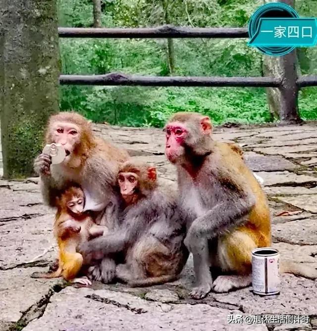 去张家界跟团游，张家界旅游纯玩团攻略和花费