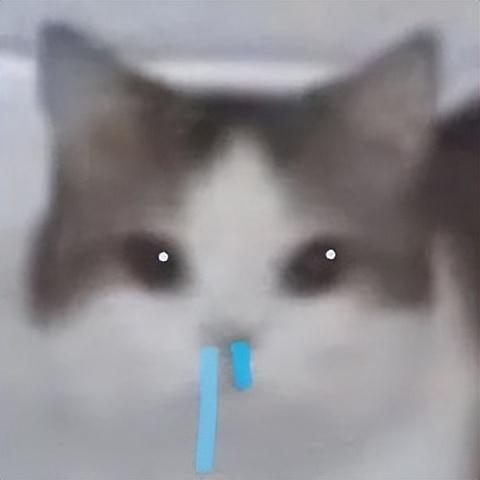 面膜最大的功效是什么，面膜的作用及重要性