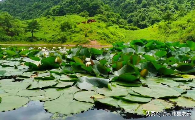 明月山景区有哪些景点，康县名山之明月山