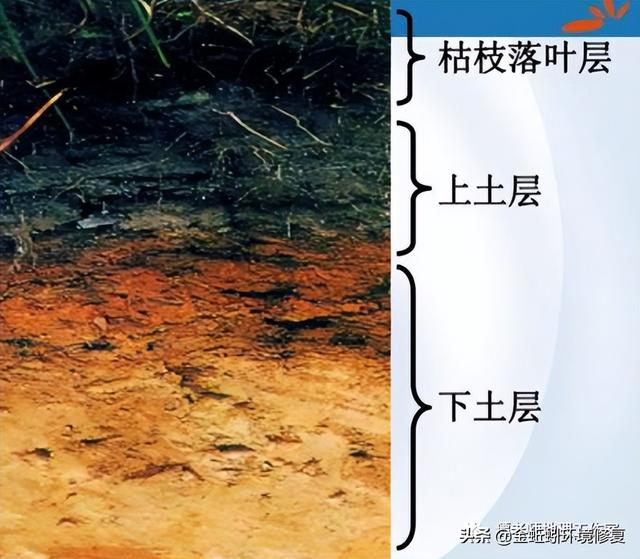 我国的土壤分类有哪些，中国15种主要土壤类型和具体分布地区