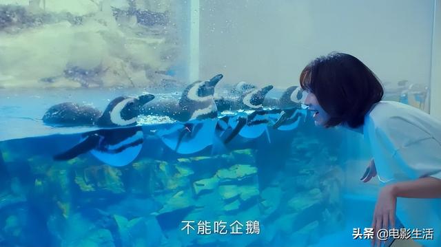 最近疯狂安利的悬疑剧，一集入坑8.4高分台剧