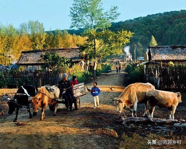 古人云人有三不亲，农村俗语人有三不亲