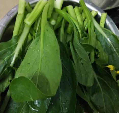 蚝油蒜蓉菜心的做法，蒜蓉耗油菜心的做