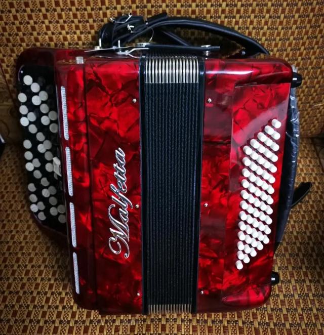 手风琴自学能学会吗，学手风琴的心路历程