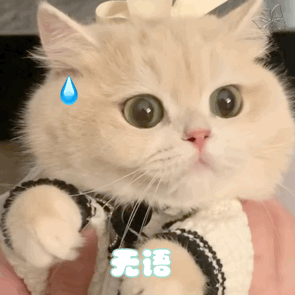 聊天必备小表情包，聊天必备表情包大全