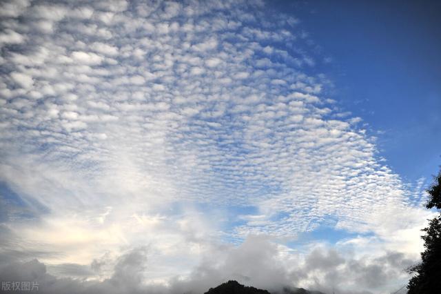 人做梦一般梦到什么人，10种最常见的梦你梦见过几个