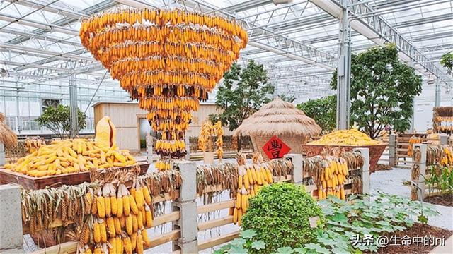 开封必游景区，这八处经典必去的地方