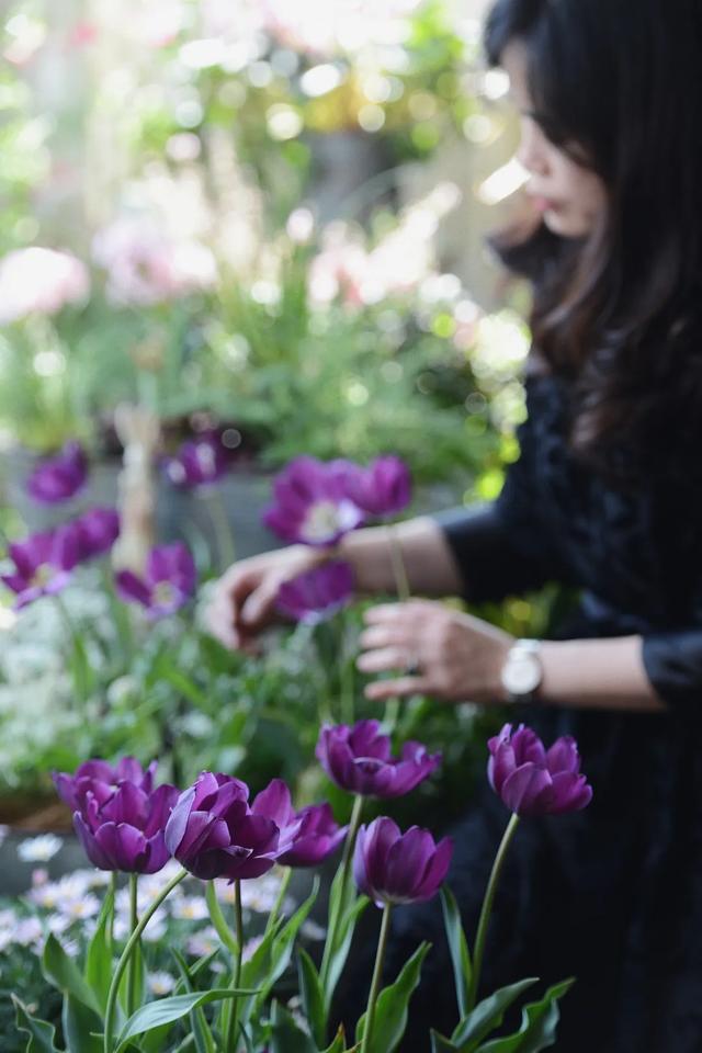 法式花园如何欣赏，海妈花园访问阳台花园满分案例