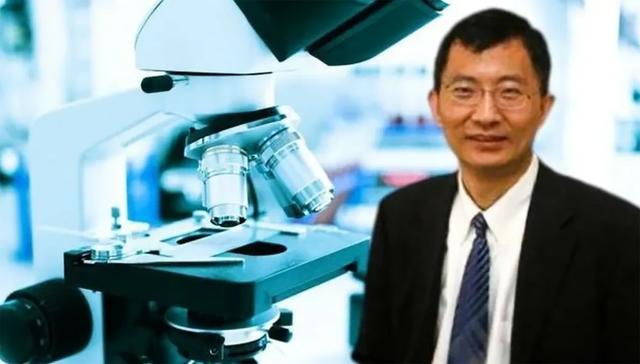 高华健哪一年从美国回归，神童高华健放弃国籍加入美国