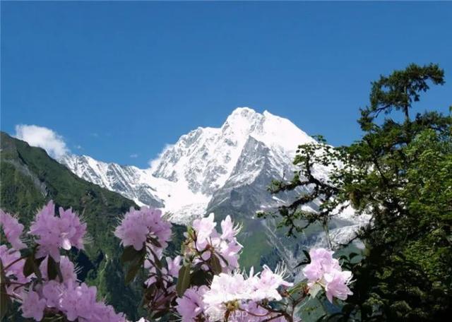 春天去哪里旅游，最适合春天去的7大旅游景点