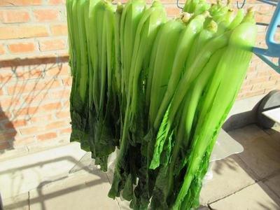 干菜怎么做好吃，农村晒干的菜怎样炒才好吃