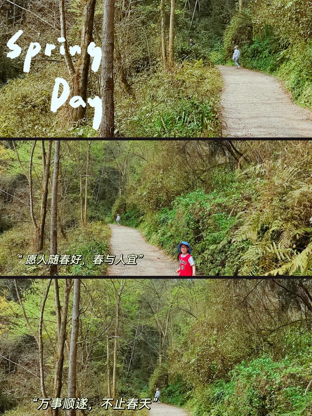 青城后山旅游攻略，成都青城山后山旅游攻略