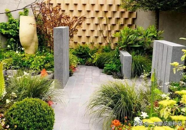 适合庭院养的草花，25种观赏草观叶赏花