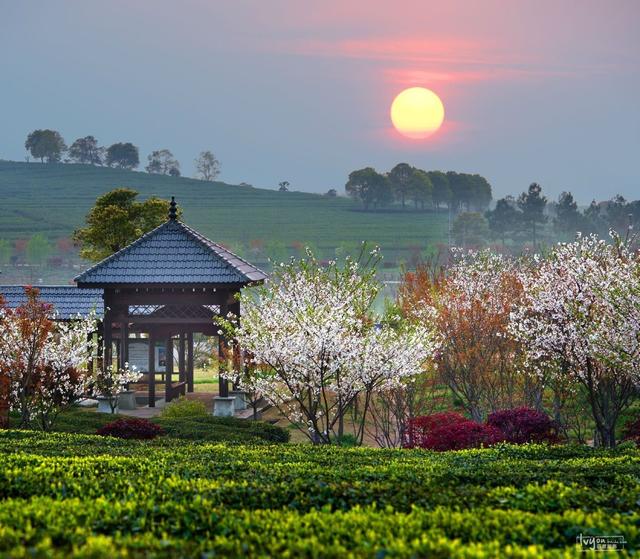 11月份江西婺源旅游攻略，相约江西行人间最美四月天