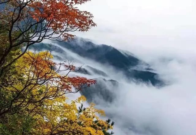 秦岭云屏景点介绍，云屏三峡风景区——秦岭深处的避暑圣地