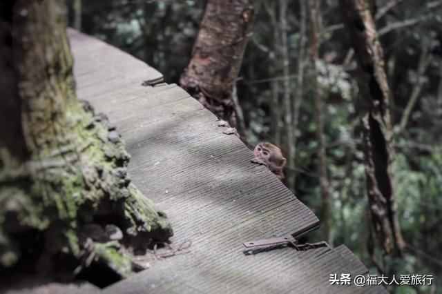 普洱到西双版纳，西双版纳普洱旅游攻略
