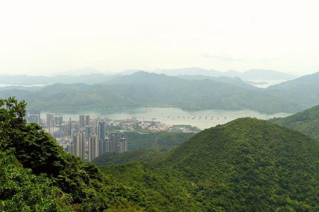 关于深圳梧桐山简介，深圳之巅——梧桐山