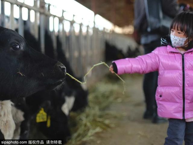 北京带孩子玩的地方推荐，北京小宝宝周末遛娃必备好去处（带娃去京郊这4个天然氧吧游山戏水~）