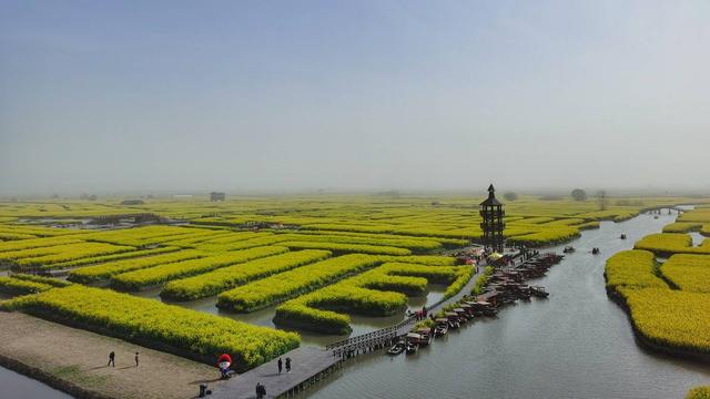 我国最漂亮的油菜花海，我国十大最美油菜花海