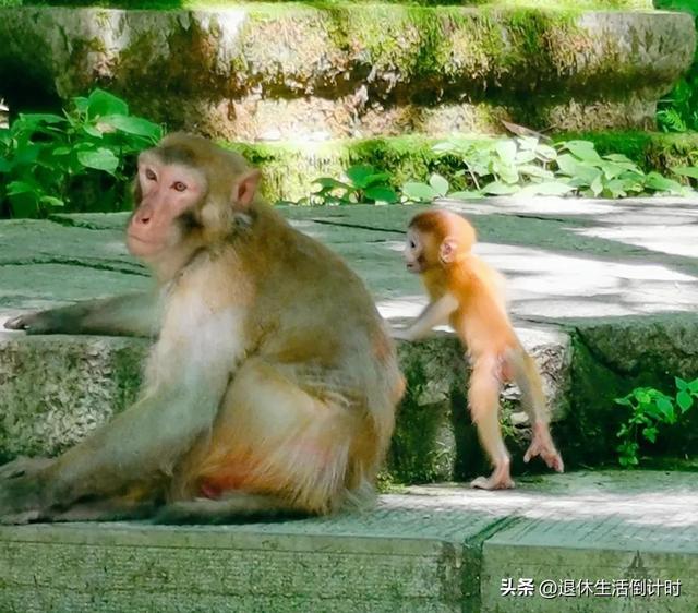 去张家界跟团游，张家界旅游纯玩团攻略和花费