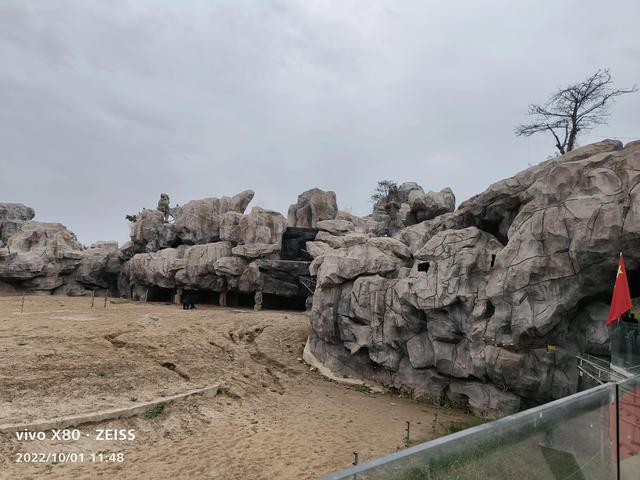 石家庄动物园攻略，石家庄动物园游玩自带饭攻略