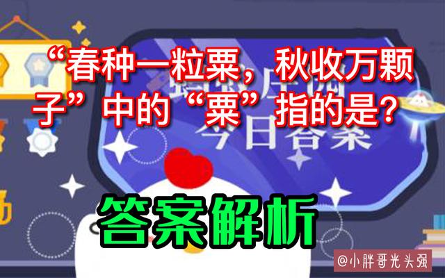 春种一粒粟的粟是指，春种一粒粟的粟指的是什么（秋收万颗子”中的“粟”指的是什么）