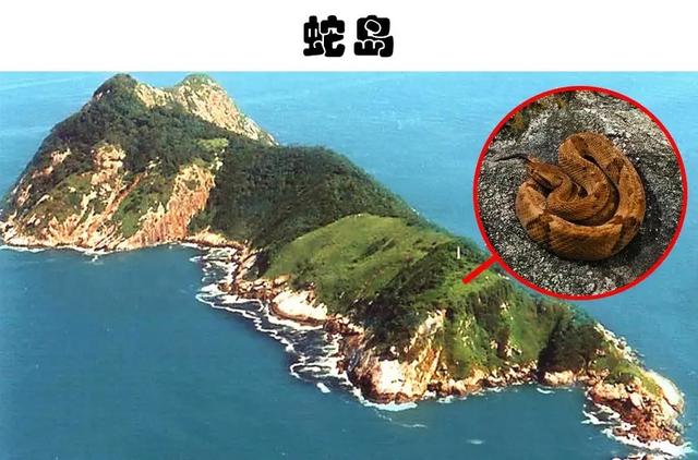 蛇湖边上很危险，世界上最危险的地方排名