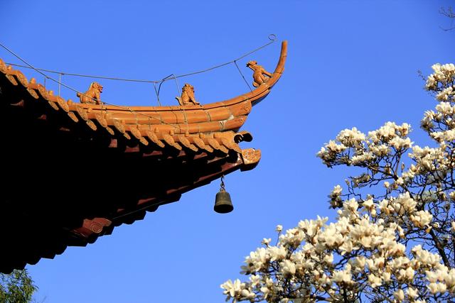 冬天的南京最美的风景，盘点南京春天最美的6个地方