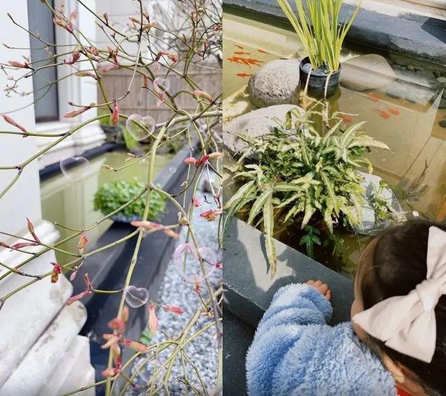 陈赫个人资料跑男成员，晒妻子小心翼翼