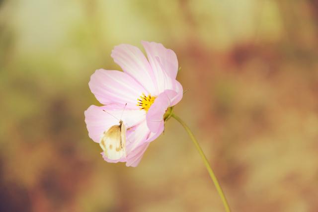 一个人突然不联系你只有两种原因，很久不联系你的人