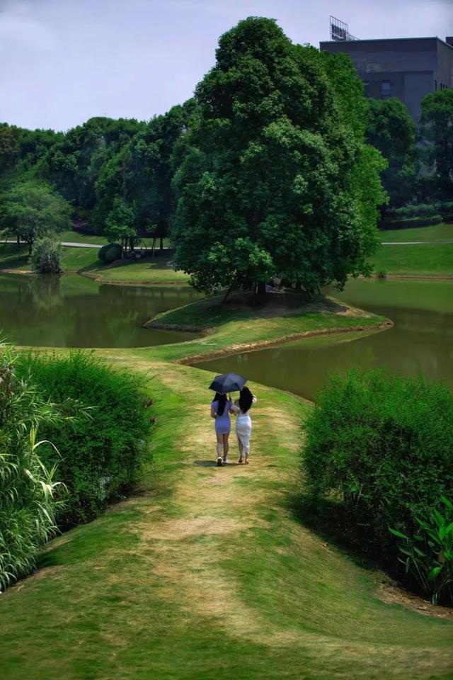 9月成都周边最适合露营，不出成都市区打卡9大露营野餐拍照地