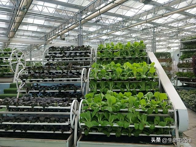 开封必游景区，这八处经典必去的地方