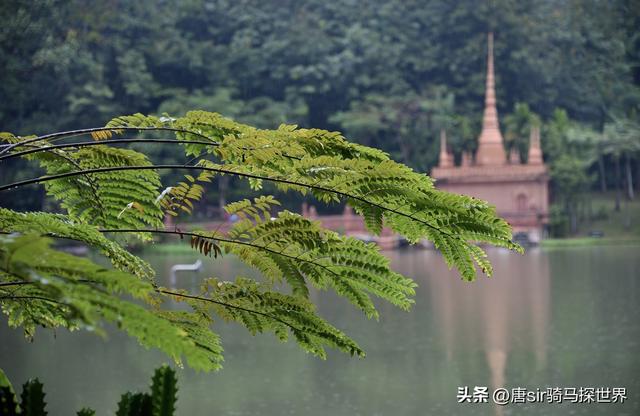 云南西双版纳旅游热，一座四季皆夏的城市