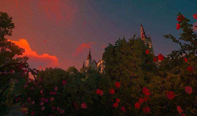 关于玫瑰的文案，玫瑰的唯美文案（有关玫瑰高级又浪漫的文案）