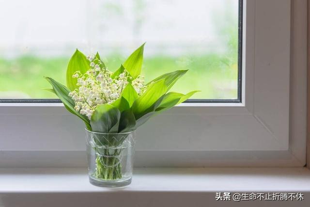 吃人嘴软拿人手短，俗话说吃别人的嘴软拿别人的手短