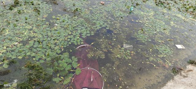 旅游钓鱼最佳地点，钓鱼人需要熟记于心的九大黄金钓位。鱼获多概率高